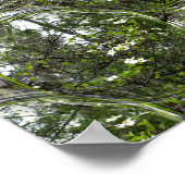 Poster Bulles de Dogwood.... (Coin)