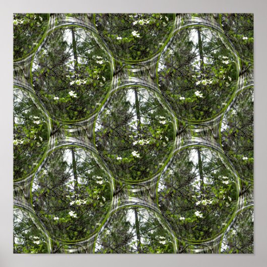 Poster Bulles de Dogwood.... (Devant)