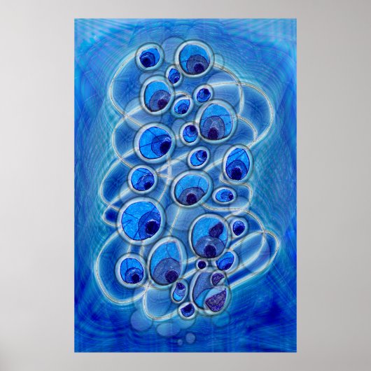 Poster Bulles de paon (Devant)