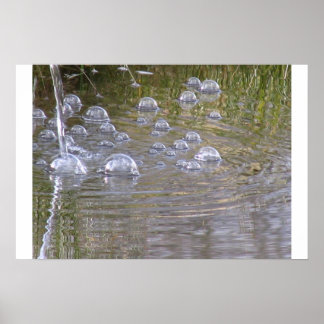 Poster bulles d'étang