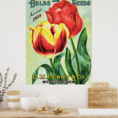 Poster Bulles et graines Tulipe rouge et jaune (Cuisine)