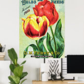 Poster Bulles et graines Tulipe rouge et jaune (Bureau à domicile)