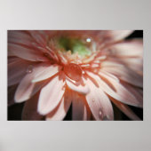 Poster Bulles roses (Devant)