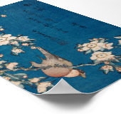 Poster Bullfinch sur une branche de cerise larvée par Hok (Coin)