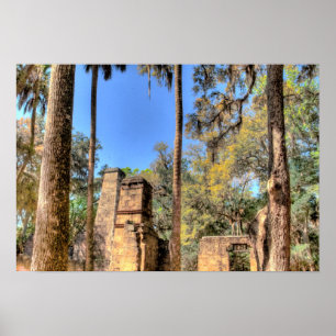 Poster Bulow Plantation, Floride