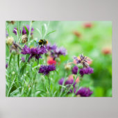 Poster Bumble abeille et fleurs papier de toile (Devant)
