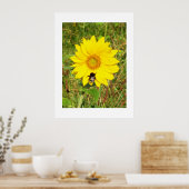 Poster Bumble abeille sur un tournesol (Cuisine)