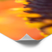 Poster Bumble Bee (Coin)