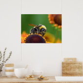 Poster Bumble Bee (Cuisine)