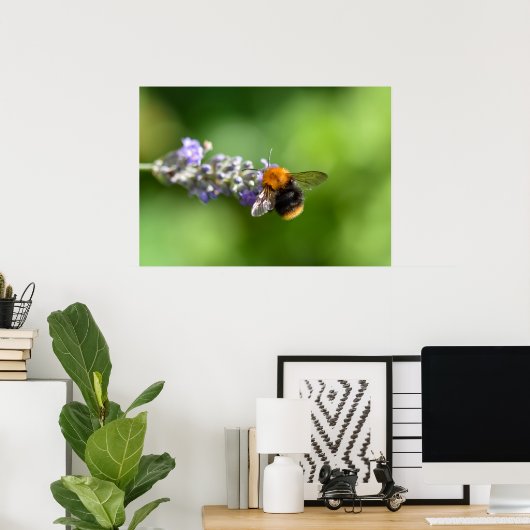 Poster Bumble Bee (Bureau à domicile)