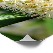 Poster Bumble Bee (Coin)