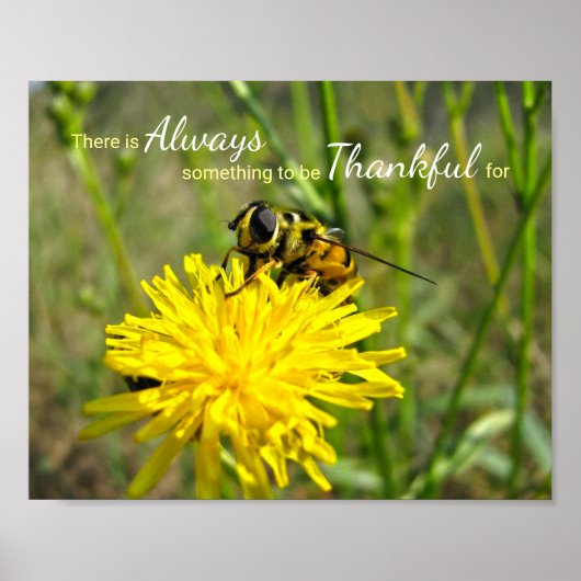 Poster Bumble Bee Jaune Dandelion Toujours Merci (Devant)