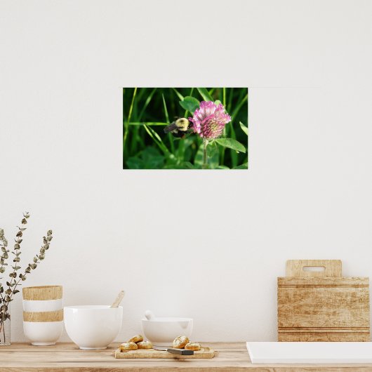 Poster Bumble Bee on Clover (Cuisine)