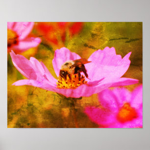 Poster Bumble Bee On Rose Cosmos Flower Abstrait