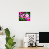 Poster Bumble Bee On Rose Cosmos Flower Close Up (Bureau à domicile)