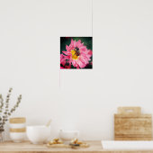 Poster Bumble Bee On Rose Daisy Flower 2 (Cuisine)