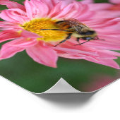 Poster Bumble Bee On Rose Daisy Flower Abstrait (Coin)