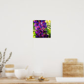 Poster Bumble Bee On Wild Lupine Flower Close Up (Cuisine)