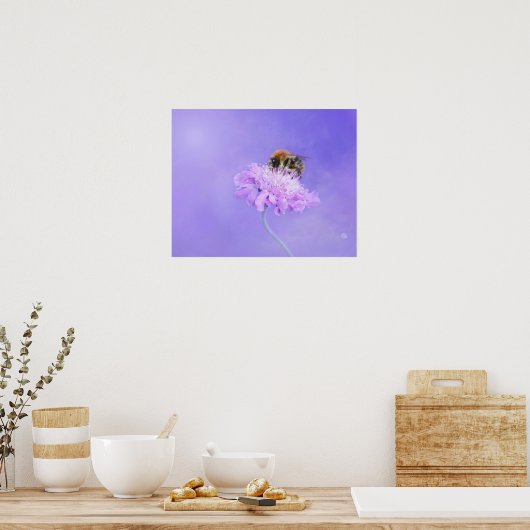 Poster Bumble Bee perché sur une fleur violette (Cuisine)