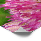 Poster Bumble Bee sur le Sedum (Coin)