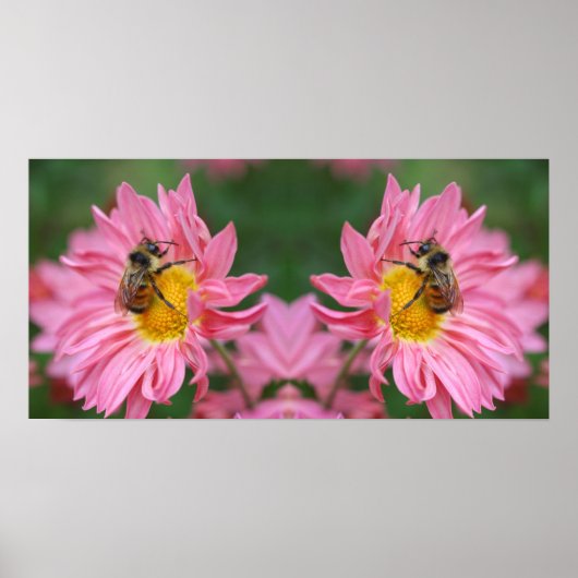Poster Bumble Bee Sur Pink Daisy Flower Miroir Abstrait (Devant)