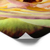 Poster Bumble Bee Volant Dans Rose Rose Rose Gros Plan (Coin)