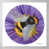 Poster Bumblebee Petit Art Imprimer prêt à encadrer Miran (Devant)