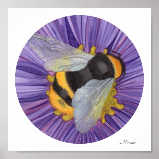 Poster Bumblebee Petit Art Imprimer prêt à encadrer Miran (Devant)