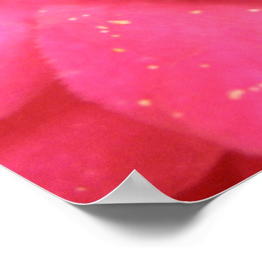 Poster Bumblebee Print (Coin)