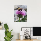 Poster Bumblebee récoltant une fleur de chardon pourpre (Bureau à domicile)