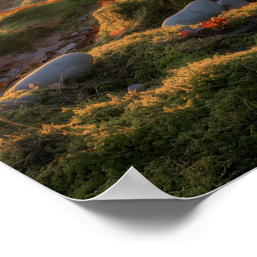 Poster Bumpy Path (Coin)