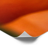 POSTER BUNCH DU CITROUILLE (Coin)