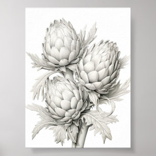 POSTER BUNCH OF ARTICHOKES