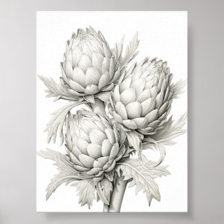 POSTER BUNCH OF ARTICHOKES