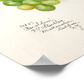 Poster Bunch of Green Grapes Fruit Watercolor Painting (Coin)