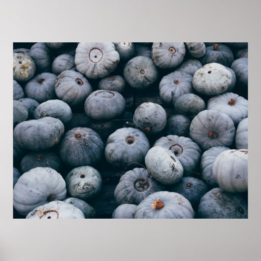 POSTER BUNCH OF SQUASH (Devant)