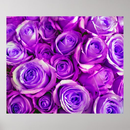 Poster Bunch Rose arrière - plan Saint Valentin Symbole d (Devant)