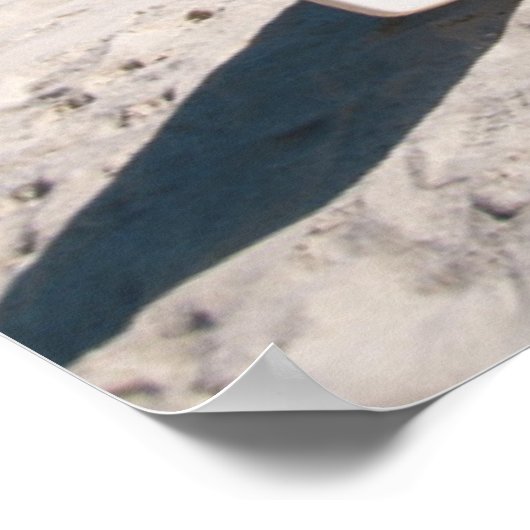 Poster Bungalows from beach Motu (Coin)