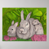 Poster Bunnies (Devant)