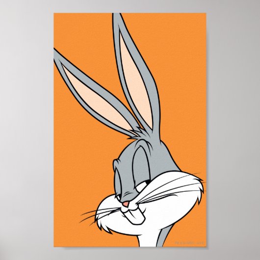 Poster BUNNY™ BUNNY Sideways (Devant)