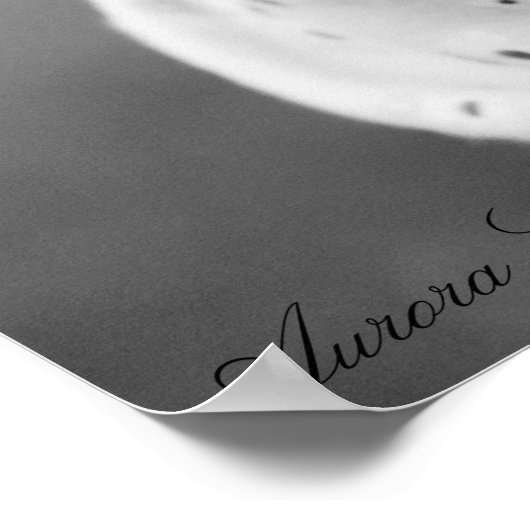 Poster Bunny Casquette (Coin)