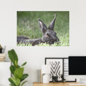 Poster Bunny In the Grass fine art print (Bureau à domicile)