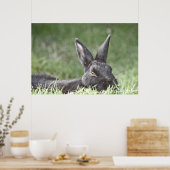 Poster Bunny In the Grass fine art print (Cuisine)