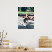 Poster bunny rabbit photo Easter spring (Cuisine)