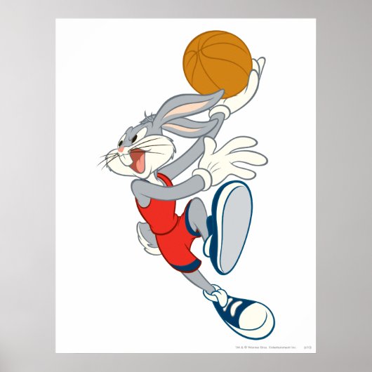 Poster BUNNY™ Slam (Devant)