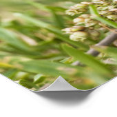 Poster Bunting peint (Coin)