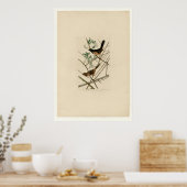 Poster Bunting Towhe (Cuisine)