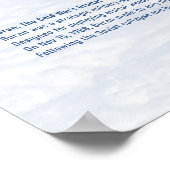 Poster Buran Shuttle: Majestic Atmospheric Descent (Coin)