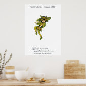 Poster Burdock (Cuisine)