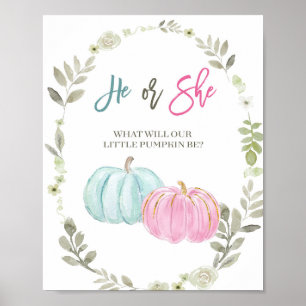 Poster Bureau de vote Citrouille rose et bleu